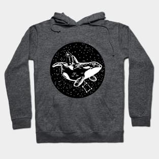 Literal Names - Polaris Hoodie